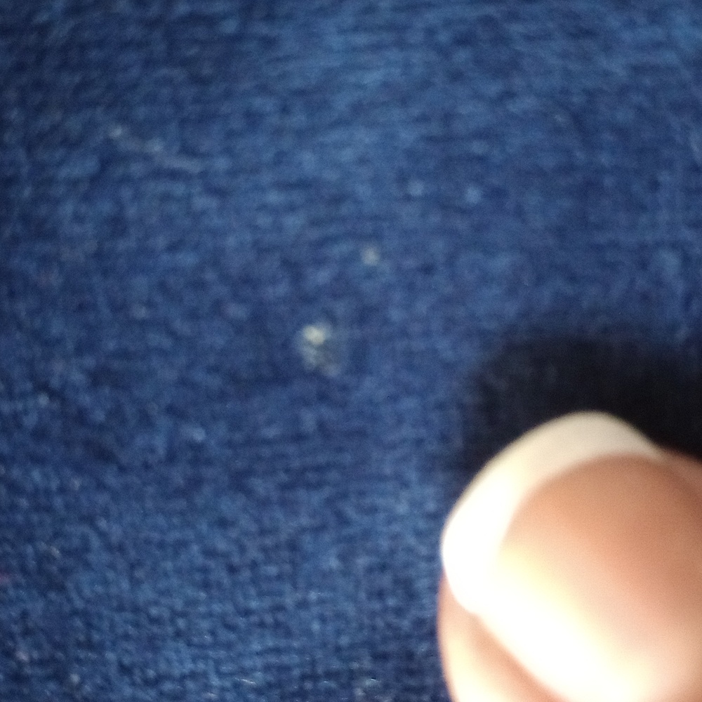 Tracksuit - Picture 7 of 8